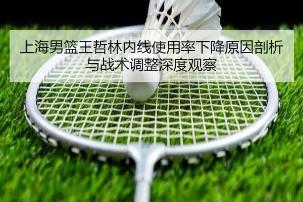 上海男篮王哲林内线使用率下降原因剖析与战术调整深度观察 - kaiyun