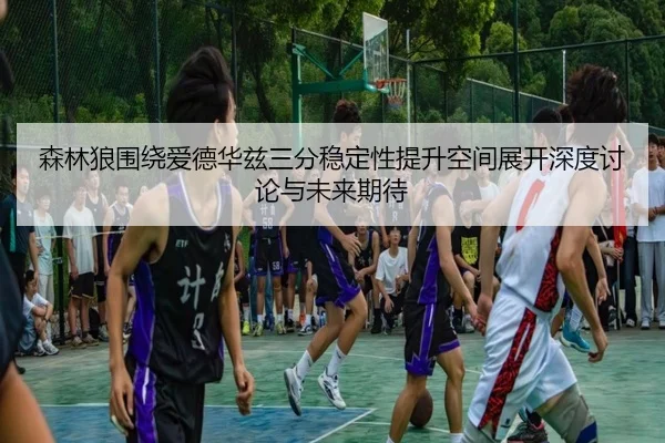 森林狼围绕爱德华兹三分稳定性提升空间展开深度讨论与未来期待
