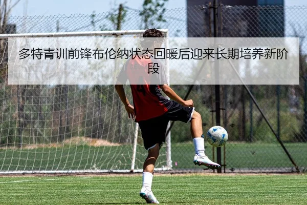 img_1784031288691_73_1_167.jpg