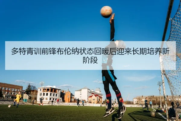 多特青训前锋布伦纳状态回暖后迎来长期培养新阶段